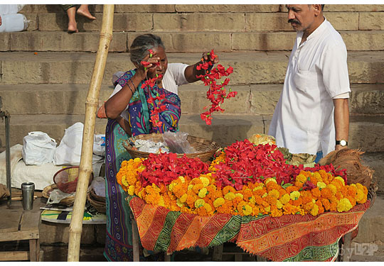 Boutique de fleurs à Varanasi