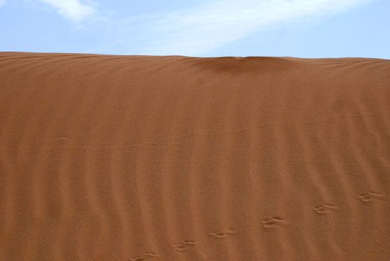 Dakhla dune
