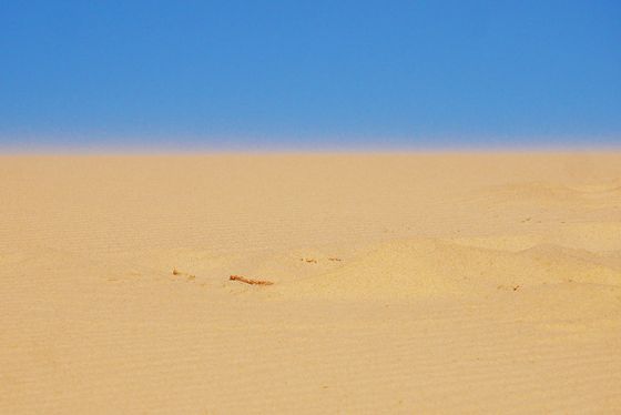 Dakhla windy dune