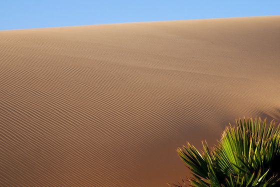 Dakhla desert element