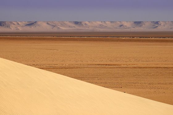 Dakhla Desert dune